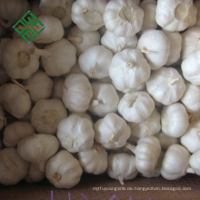 Billiger chinesischer Knoblauch Pure White